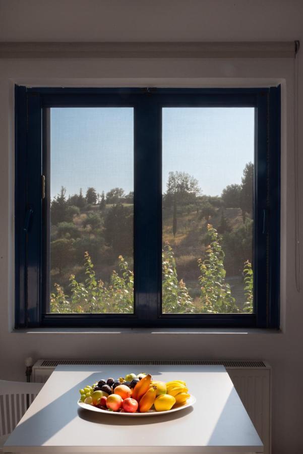 Villa Rodanthi Sivota Exteriér fotografie